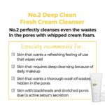 پاک‌کننده فومی نامبوزین - Image 3