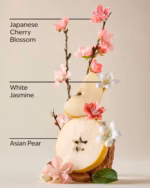 بادی میست بث اند بادی مدل Japanese Cherry Blossom - Image 2